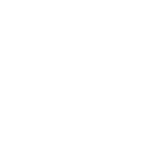 npm logo