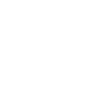 postgresql logo