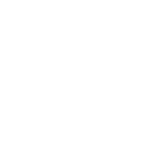 pypi logo