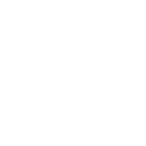 springboot logo